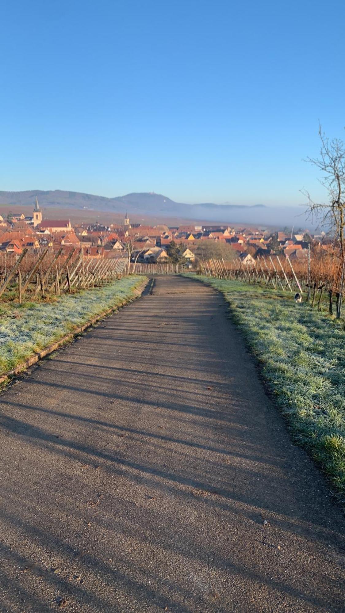 La Parenthese Lägenhet Beblenheim Exteriör bild